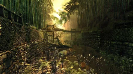 Golden Sunlight Through Ancient Bamboo Forest - free architecture wallpaper 2560×1440