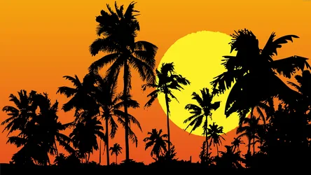 Tropical Sunset Silhouette with Palm Trees - free space wallpaper 7680×4320