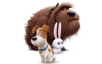 Fluffy Friends: A Magical Animal Adventure - free animals wallpaper 2880×1800