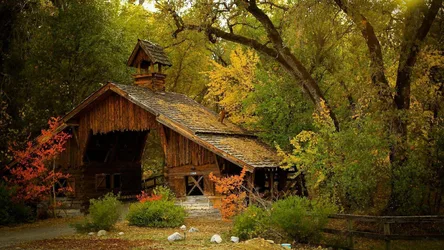 Autumn Cabin Among Ancient Trees - free architecture wallpaper 1600×900