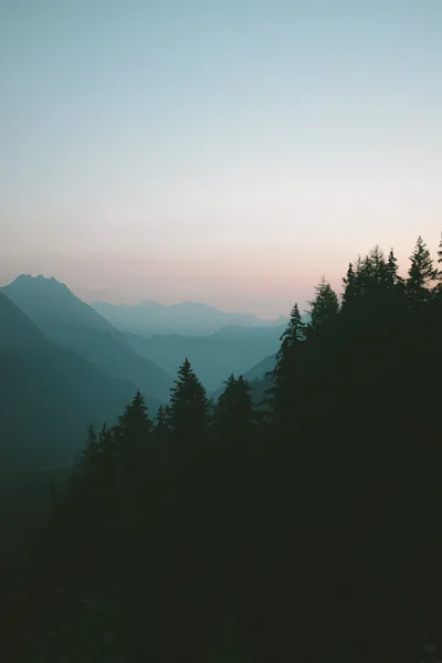 Misty Mountain Forest at Dawn - free wallpaper 3000×4500