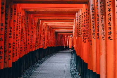 Path Through Scarlet Gates - free city & urban wallpaper 3000×2000