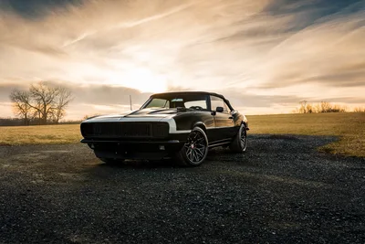 Trees and Clouds in the Grass - free cars & vehicles wallpaper 2048×1366