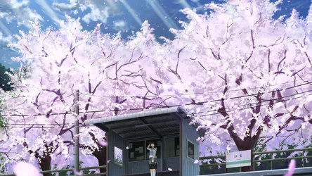 Sunlit Black-Haired Girl - free anime wallpaper 1920×1080