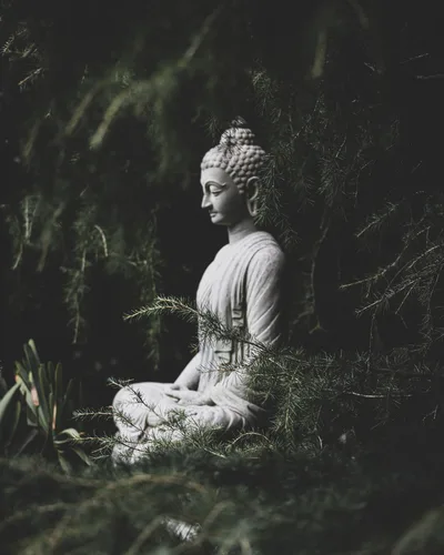 Serene Buddha in Nature's Embrace - free dark wallpaper 3000×3750
