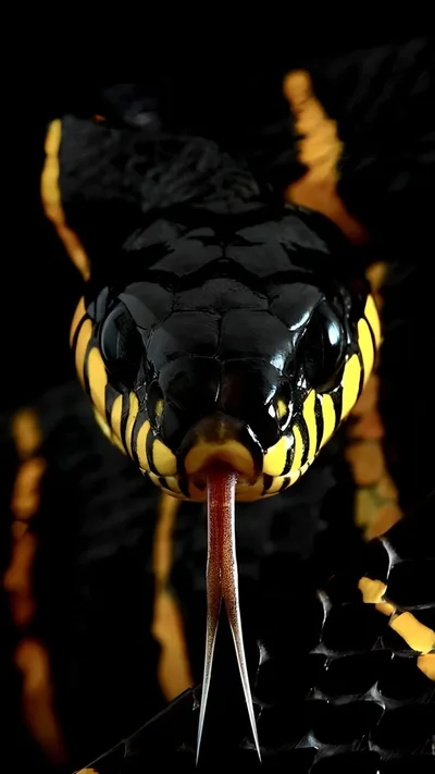 Obsidian Predator's Silken Blade - free fantasy wallpaper 1080×1920