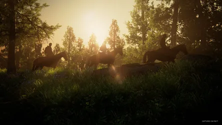 Golden Hour Horseback Riding Through Forest Light - free dark wallpaper 3840×2160