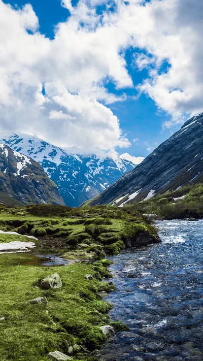 Alpine Valley Stream Under Blue Skies - free gaming wallpaper 1242×2208