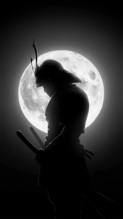 Moonlit Warrior in Shadows - free fantasy wallpaper 900×1600