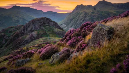 Highland Heather at Golden Hour - free wallpaper 6144×3456