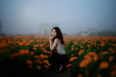 Field: Crouching Muse - free wallpaper 6144×4098
