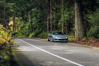 Trees in a Forest - free cars & vehicles wallpaper 6720×4480
