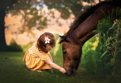 Brown-Haired Lady in a Dress in the Grass - free wallpaper 5252×3627