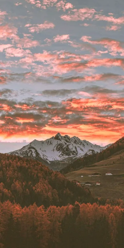 Alpine Sunset Over Golden Autumn Forest - free gaming wallpaper 736×1472