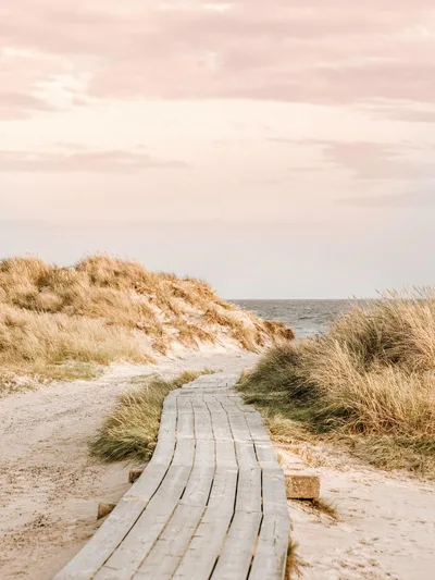 Coastal Path to the Horizon - free gaming wallpaper 2000×2667