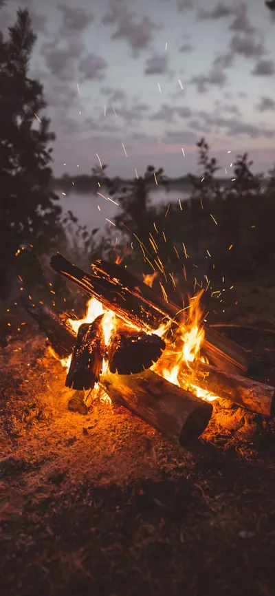Twilight Campfire by the Lake - free weapons wallpaper 1183×2560
