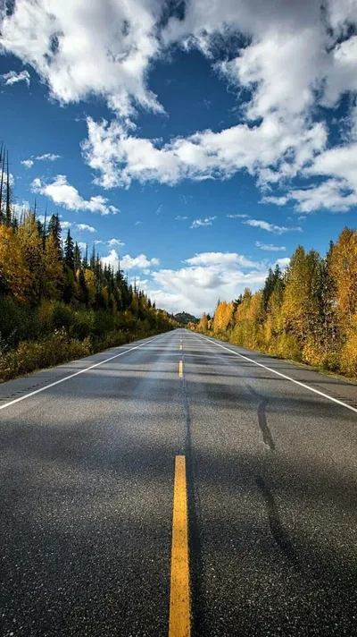 Endless Highway Through Autumn Forest - free city & urban wallpaper 800×1423