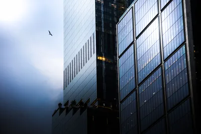 Modern Glass Skyscrapers at Dusk with Flying Bird - free city & urban wallpaper 5120×3413