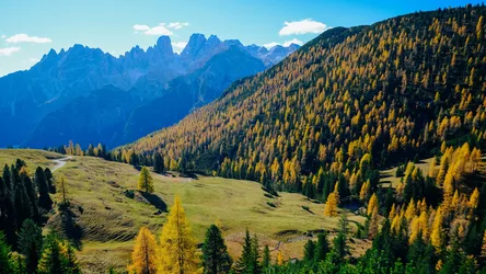Alpine Meadow in Golden Autumn Light - free gaming wallpaper 3840×2160