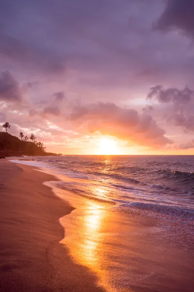 Golden Sunset Over Tropical Beach Shore - free gaming wallpaper 3000×4500