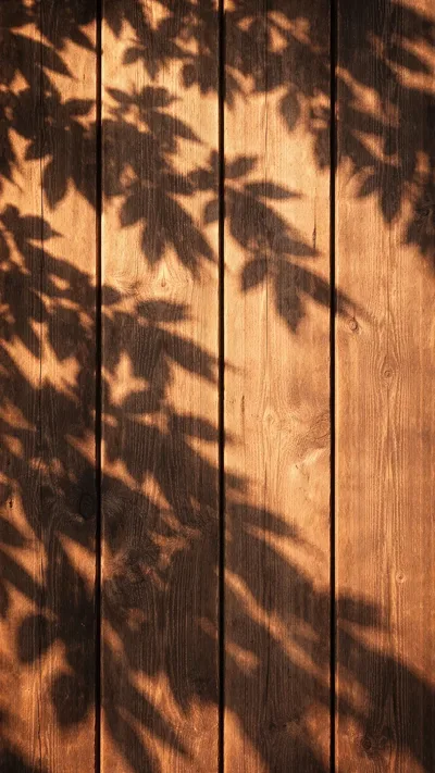 Dappled Sunlight Through Tree Leaves - free architecture wallpaper 800×1422