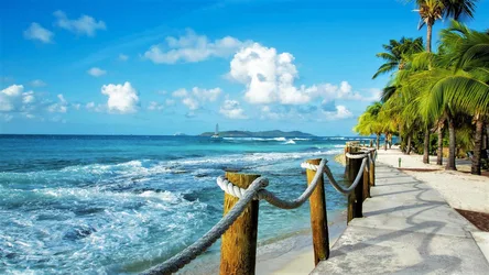 Tropical Beach Promenade with Rope Fencing and Palm Trees - free wallpaper 1920×1080