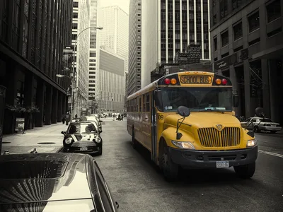 Yellow School Bus in Urban Downtown Street - free cars & vehicles wallpaper 5669×4253