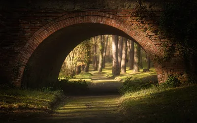Brick Tunnel Opening to Tree-Lined Forest Path - free landscapes wallpaper 5890×3681