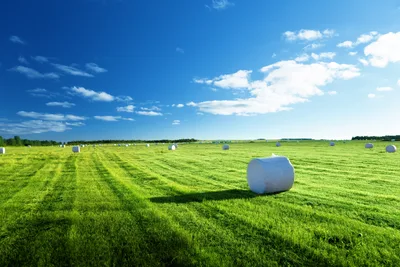 White Hay Bales in Green Field Under Blue Sky - free landscapes wallpaper 5616×3744