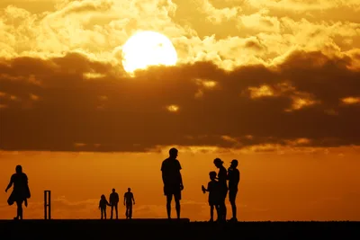 Silhouetted Figures Playing Cricket at Sunset - free nature wallpaper 3630×2420