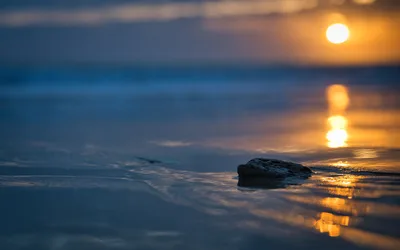 Sunset Over Ocean with Rock in Shallow Water - free wallpaper 5119×3200