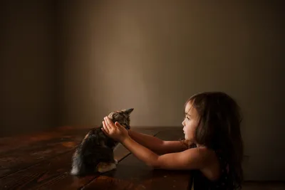 Child Playing With Kitten on Wooden Floor - free people & portraits wallpaper 2560×1707