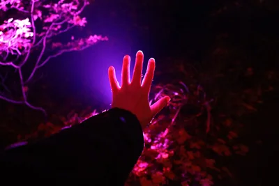 Glowing Hand Reaching Into Neon Floral Landscape - free photography wallpaper 6144×4096
