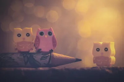 Three Cute Owl Figurines With Warm Bokeh Background - free wallpaper 1600×1065