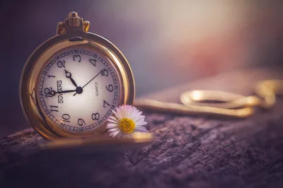 Pocket Watch With Daisy Flower On Textured Ground - free photography wallpaper 5749×3825