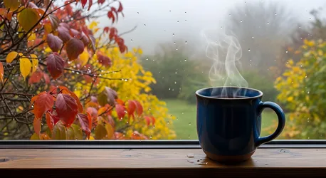 Steaming Mug by Rainy Window with Autumn Foliage - free nature wallpaper 3960×2160