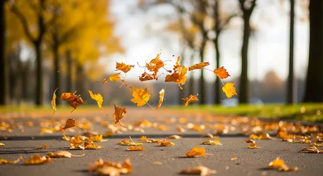 Autumn Leaves Swirling In Mid-Air Above Pavement - free nature wallpaper 4224×2304