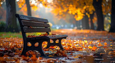 Wet Park Bench in Autumn Rain with Fall Leaves - free nature wallpaper 3960×2160