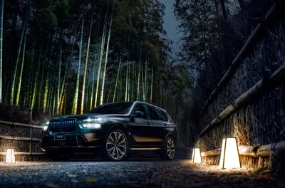 Luxury SUV Parked in Bamboo Forest at Night - free wallpaper 5300×3500