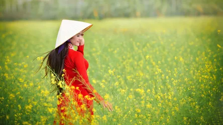 Woman in Red Áo Dài in Yellow Flower Field - free people & portraits wallpaper 2048×1152