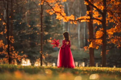 Girl in Red Dress Holding Autumn Leaves in Forest - free people & portraits wallpaper 6016×4016