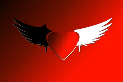 Winged Heart with Black and White Wings - free minimalist wallpaper 3750×2500