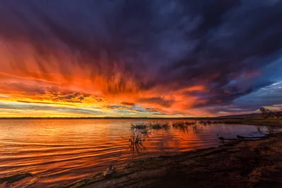 Dramatic Sunset Over Wetland Lake With Bare Trees - free wallpaper 8192×5464