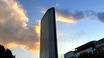 Tall Modern Building With Birds Flying at Sunset - free wallpaper 4032×2268