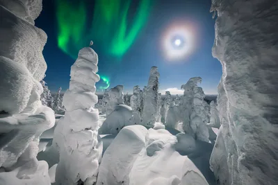 Aurora Borealis Over Snow-Covered Forest - free wallpaper 6144×4096