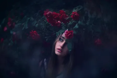 Woman Among Red Roses in Moody Garden - free people & portraits wallpaper 2048×1365