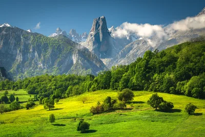 Alpine Valley With Dramatic Peak and Green Meadows - free wallpaper 6144×4096