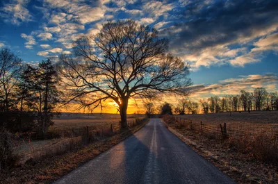 Sunrise Over Country Road with Bare Tree - free wallpaper 4616×3057