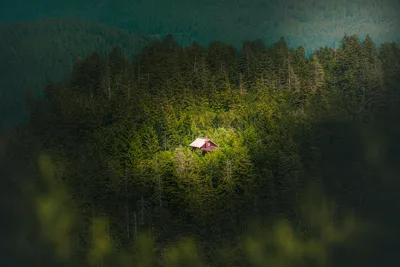 Red Cabin Nestled in Dense Evergreen Forest - free landscapes wallpaper 6000×4000