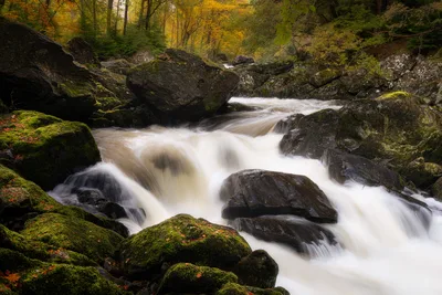 Cascading Stream Through Moss-Covered Forest in Autumn - free landscapes wallpaper 5953×3969